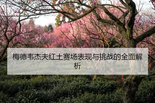 梅德韦杰夫红土赛场表现与挑战的全面解析